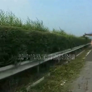 高速公路车载式绿篱机